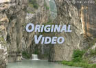 Original Video