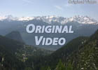 Original Video