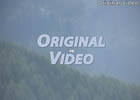 Original Video