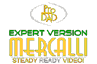 Expert-Version