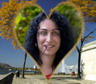 Effect Sample